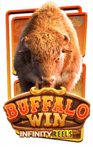 เกม Buffalo Win slot, slotxo, ทดลองเล่นเกมslot, ทางเข้าเกมslot, สมัครสมาชิกเกมslot, สล็อตxo, สล็อตออนไลน์